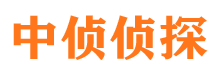 馆陶侦探公司